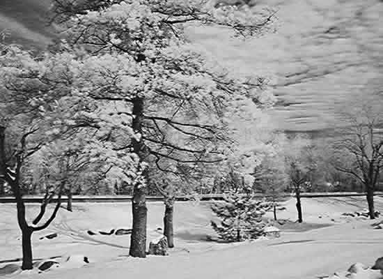 Black and White Picture Example
